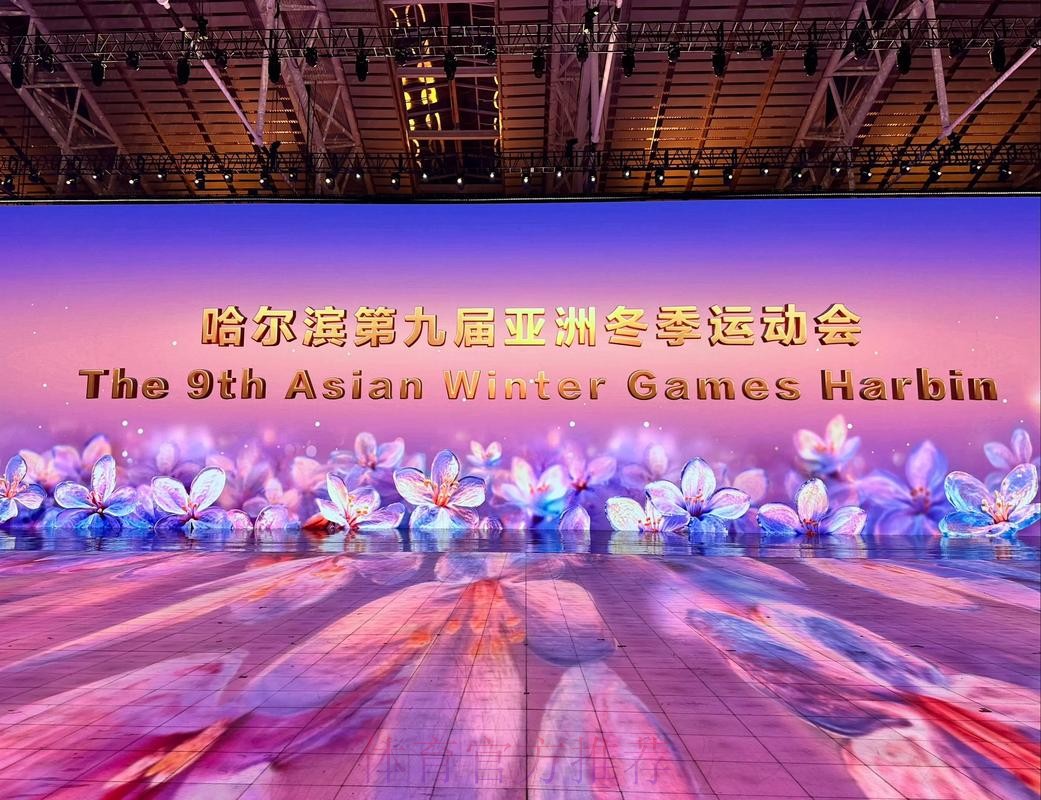 哈尔滨亚冬会中国体育代表团及有关工作团组临时党委(扩大)会议举行 哈尔滨亚冬会中国体育代表团及有关工作团组临时党委(扩大)会议举行